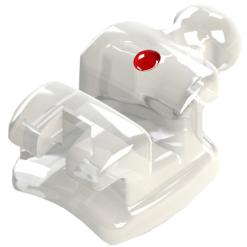 .REPOSICAO ROTH CERAMIC 0,022“ - 1. E 2. PRE-MOL. SUP. DIR./ESQ. C/ GANCHO (DENTE 14/15 24/25)- 10.11.007 - MORELLI