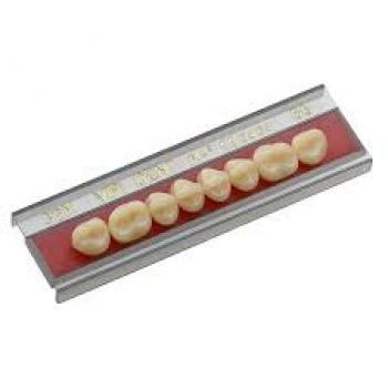 .DENTE VIPI DENT POSTERIOR/SUPERIOR 32L COR 60 - VIPI