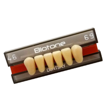 .DENTE BIOTONE ANTERIOR/SUPERIOR 2N 66 - DENTSPLY / PROTESE