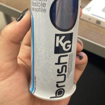 .APLICADOR KG BRUSH FINO - 100UN AZUL - KG SORENSEN