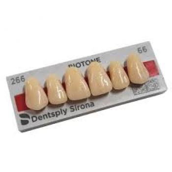 .DENTE BIOTONE ANTERIOR/SUPERIOR 2D 66 - DENTSPLY / PROTESE
