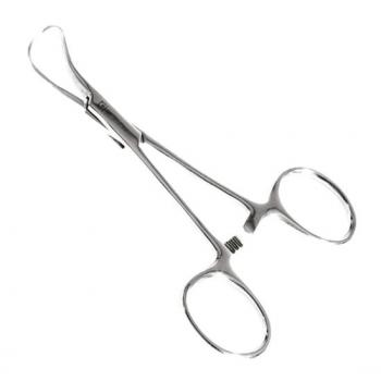 .INSTRUMENTAL - PINCA BACKHAUS 10CM PORTA - CAMPO QF91510 QUINELATO