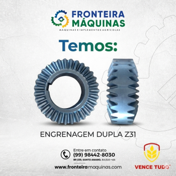 ENGRENAGEM DUPLA Z31