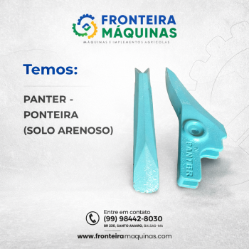 PONTEIRA (SOLO ARENOSO)